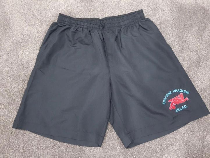 dragons training shorts
